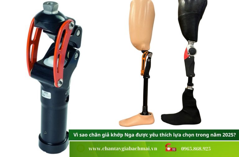 Chân giả khớp Nga